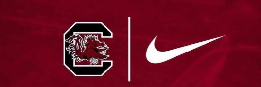 Gamecock Traditions's banner