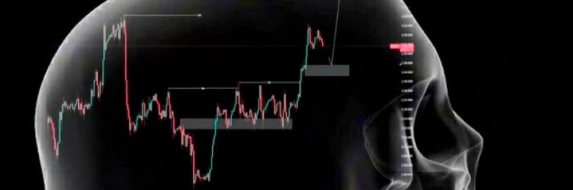 🐅Hegemonic Trader🐅's banner