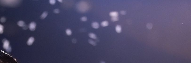 𝑀𝒶 𝓋𝒾𝑒 ❆'s banner