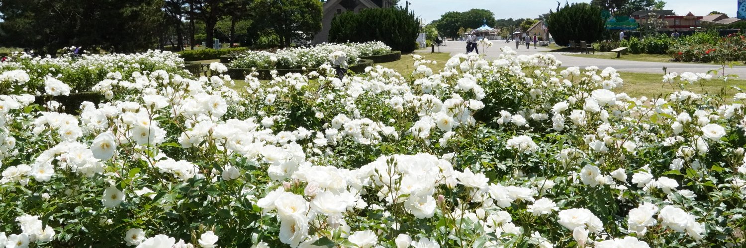 国営ひたち海浜公園【公式】's banner