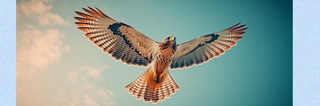 FREE FOREVER's banner