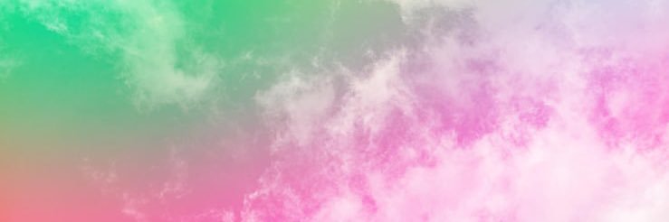 𝕷𝖎𝖑𝖎 🌴🌺(🏳️)'s banner