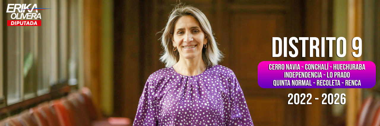 Erika Olivera Diputada, OLY's banner