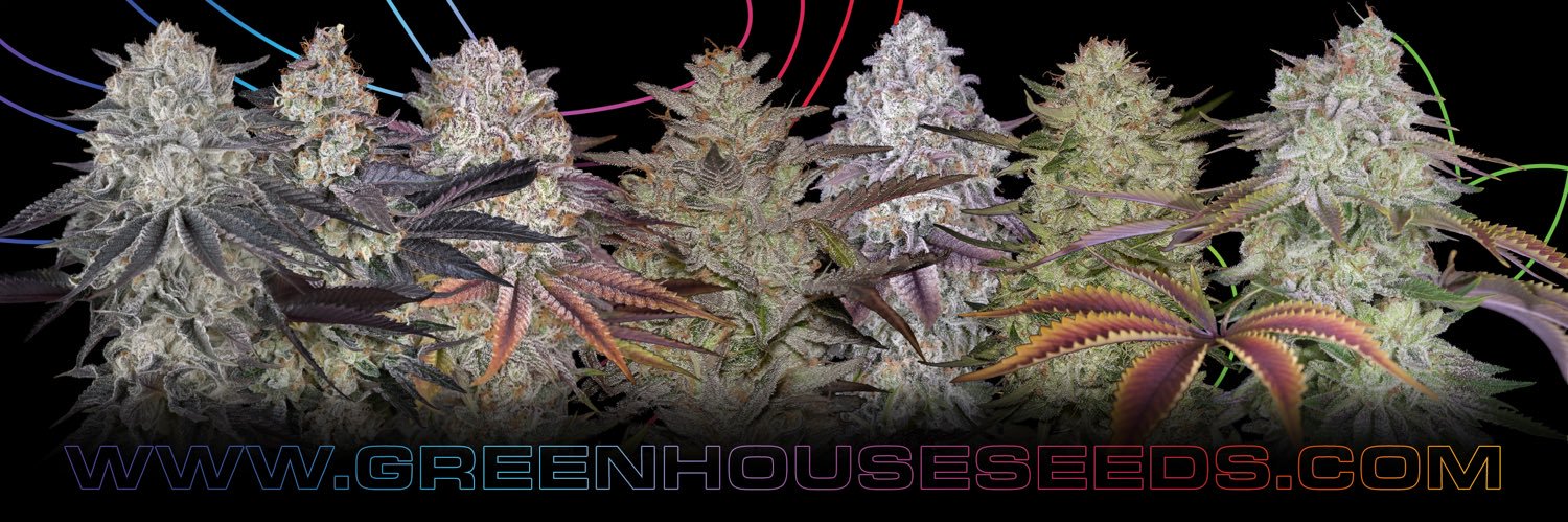 Green House Seed Co's banner