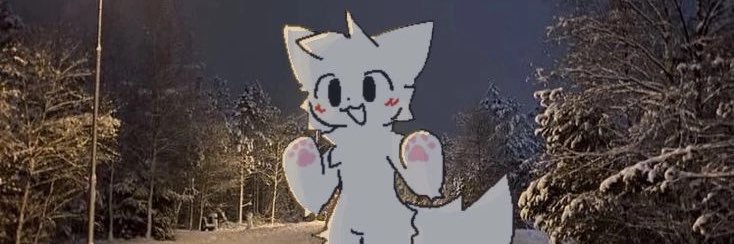 phaux🍂's banner