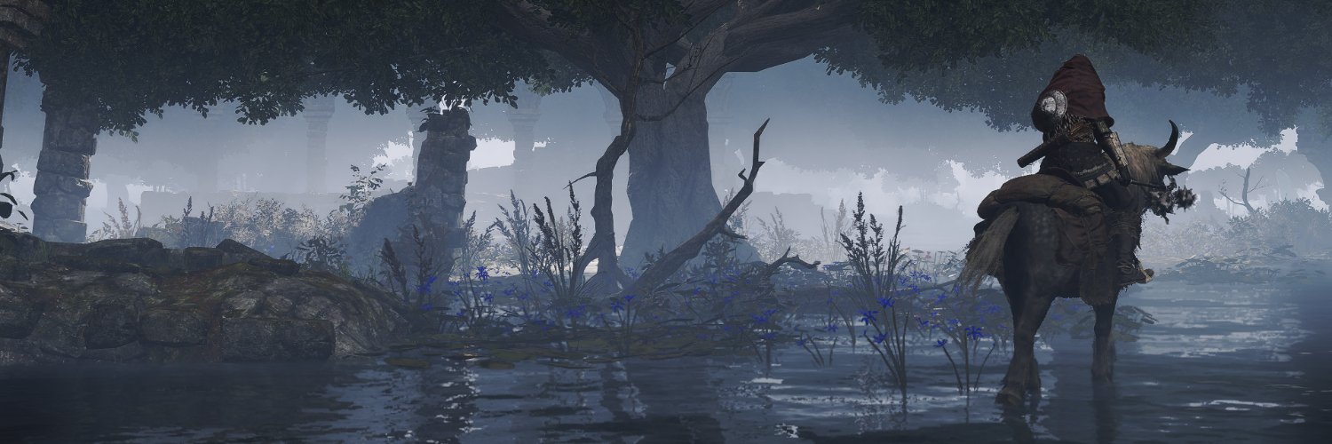 CT's banner