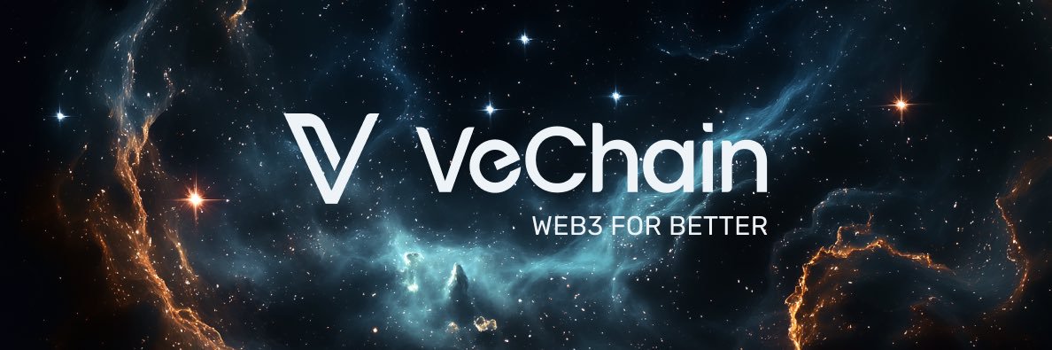 Sunny LU @VeChain's banner