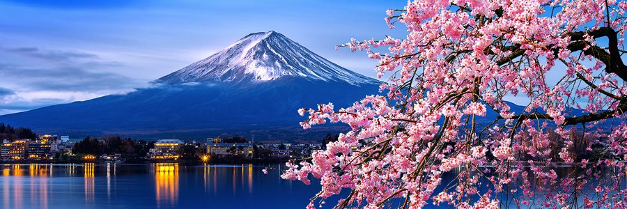 おかん🍊世界一素晴らしい国日本を守りたい🇯🇵's banner
