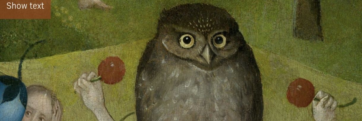Marta Smolańska's banner
