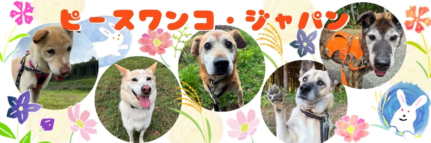 ピースワンコ・ジャパン's banner