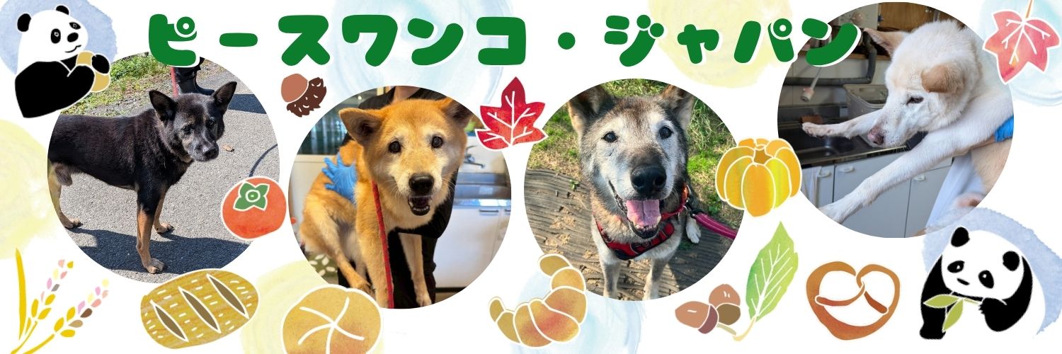 ピースワンコ・ジャパン's banner