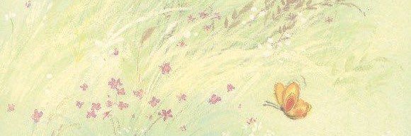 Lili's banner