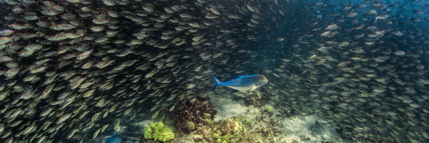 NOAA Fisheries's banner