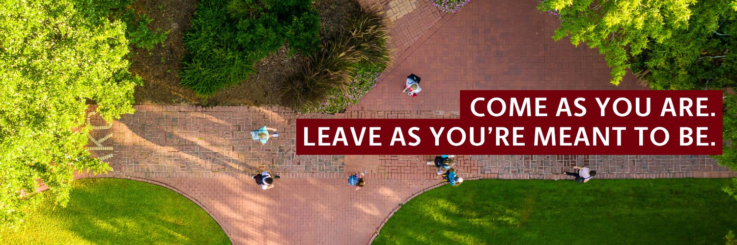 University of South Carolina's banner