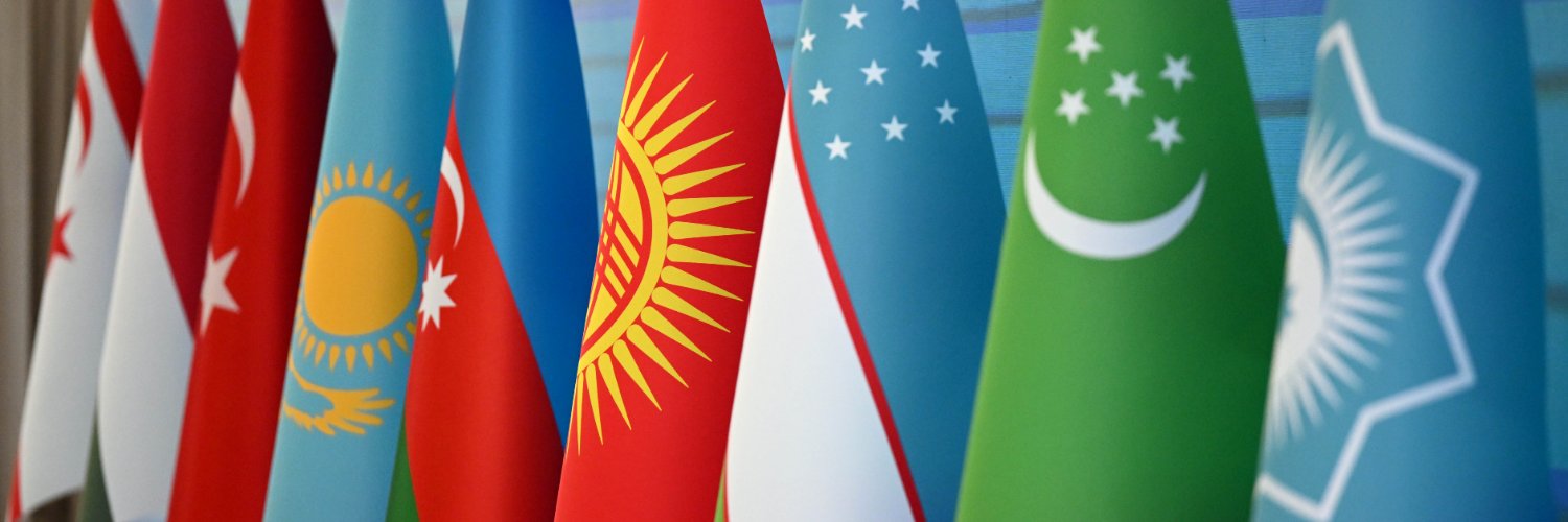 Organization of Turkic States's banner