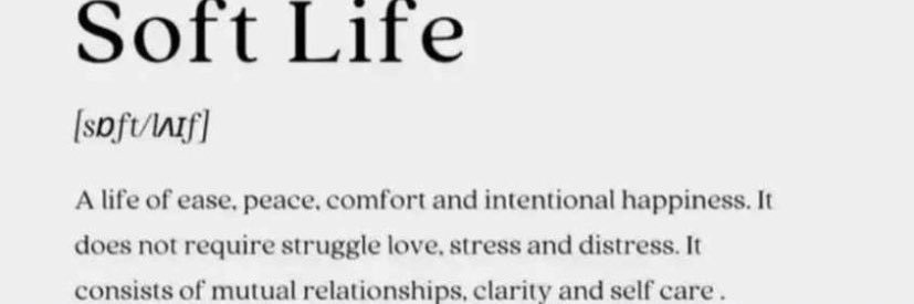 Soft Life Baby's banner