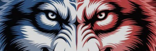 arnaud robert's banner