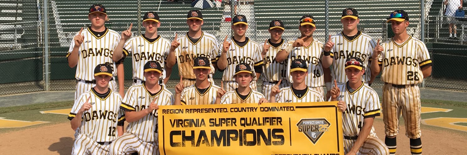 PITTSBURGH DIAMOND DAWGS BASEBALL's banner