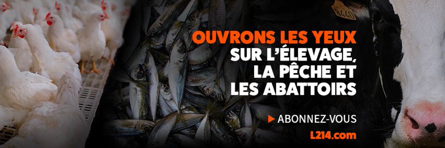 L214 éthique & animaux's banner