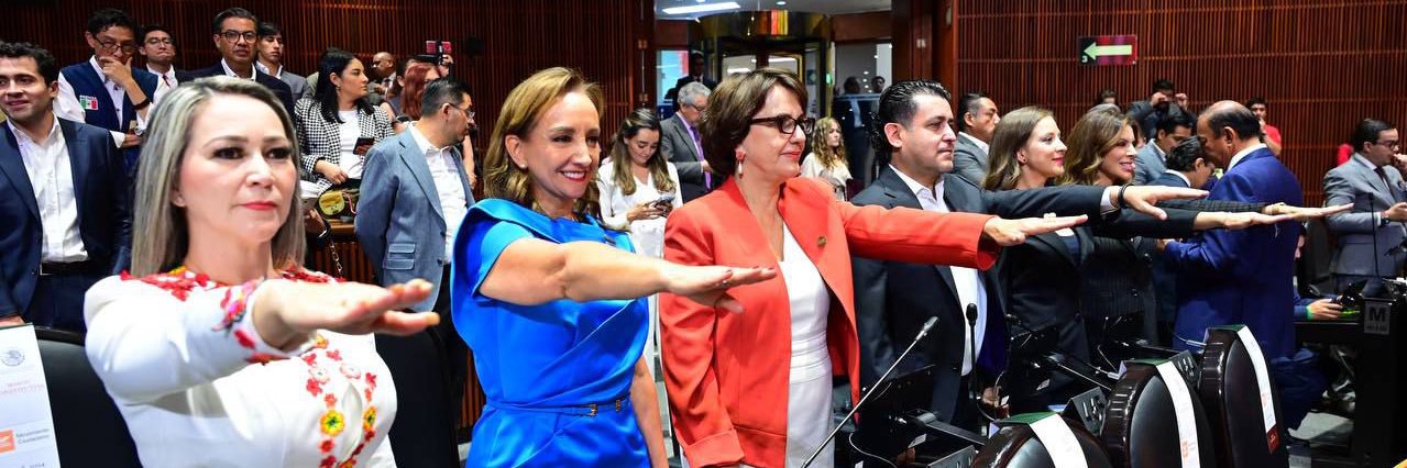 Claudia Ruiz Massieu's banner