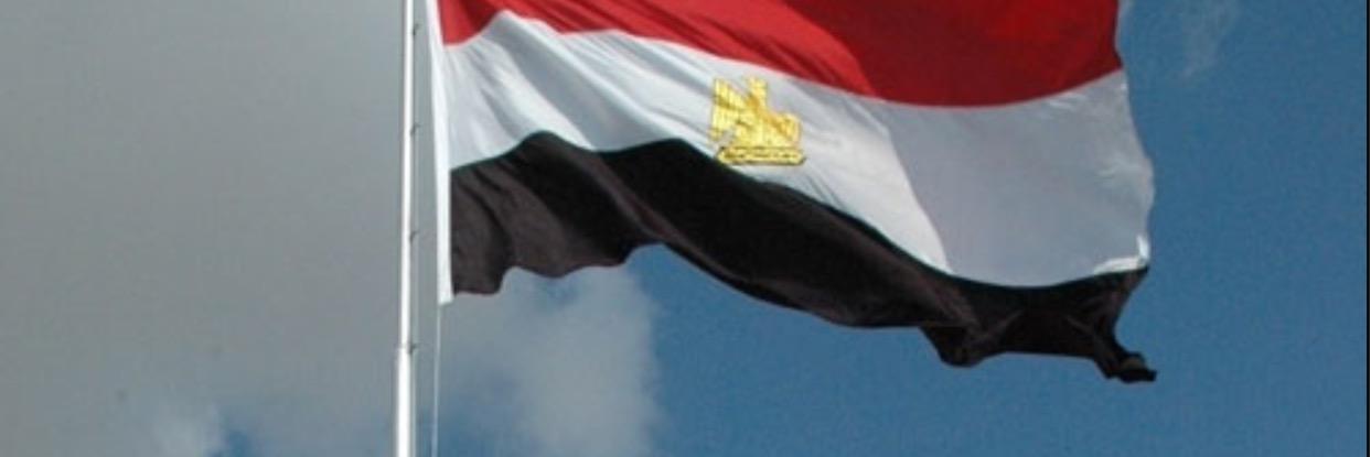 فيها حاجة حلوة's banner