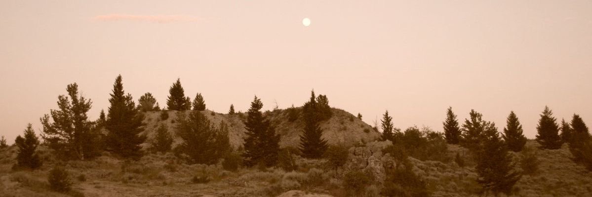 oli ⟢'s banner