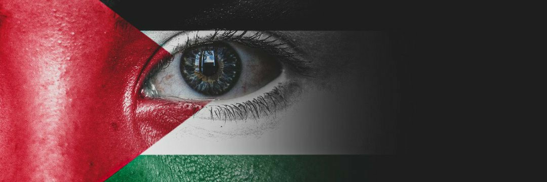 بتول الشامي's banner