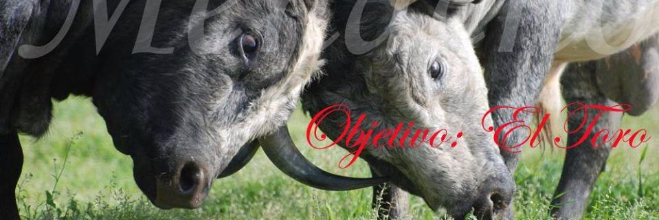 Menacho's banner