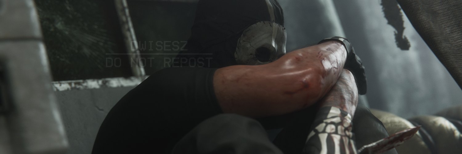 Dwisesz's banner