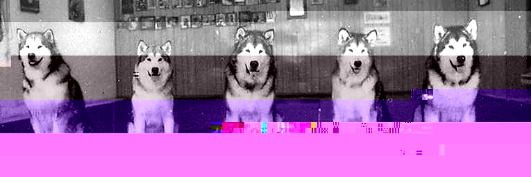 Moot's banner