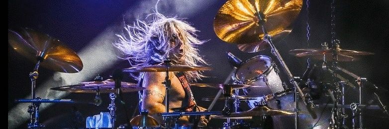 Mikkey Dee's banner