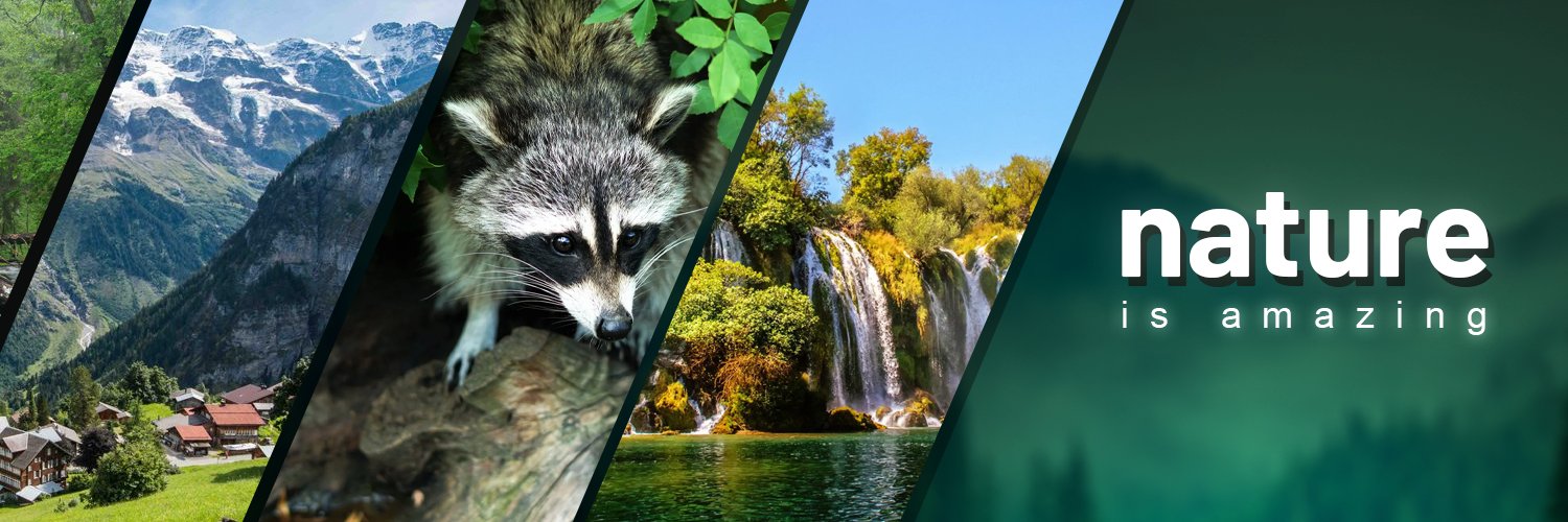 Nature is Amazing ☘️'s banner