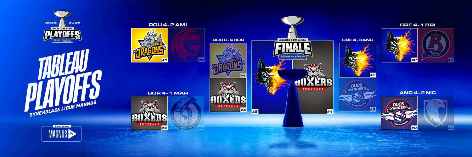 Synerglace Ligue Magnus's banner