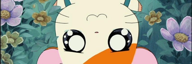 Kyra's banner