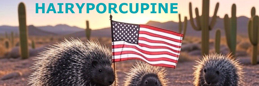 HairyPorcupine🎮☀️🏜🗽🇺🇸🏴's banner
