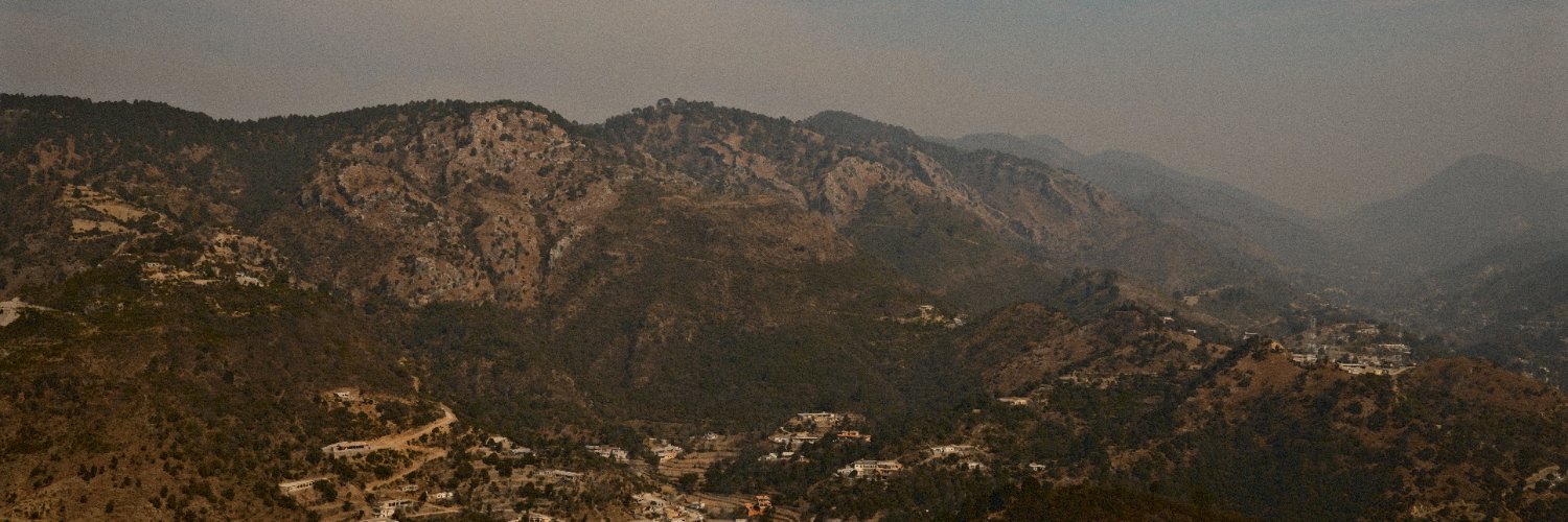 Azadeh Moshiri's banner