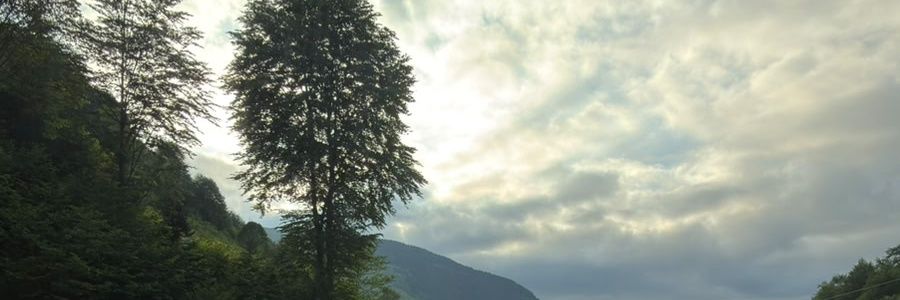 Altuğ 🇹🇷's banner