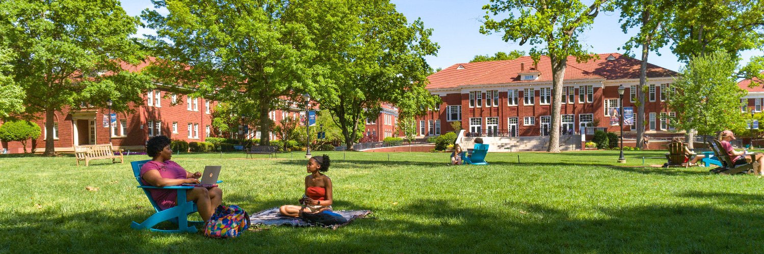 Queens University of Charlotte's banner