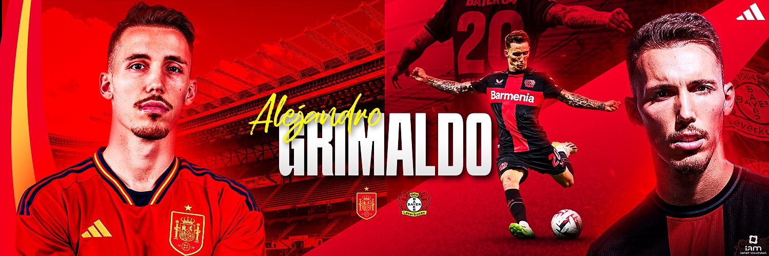 Alejandro Grimaldo's banner