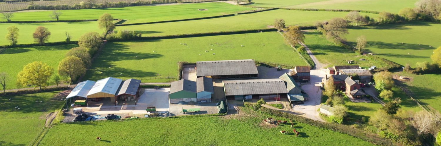 Boycefield Herefords's banner