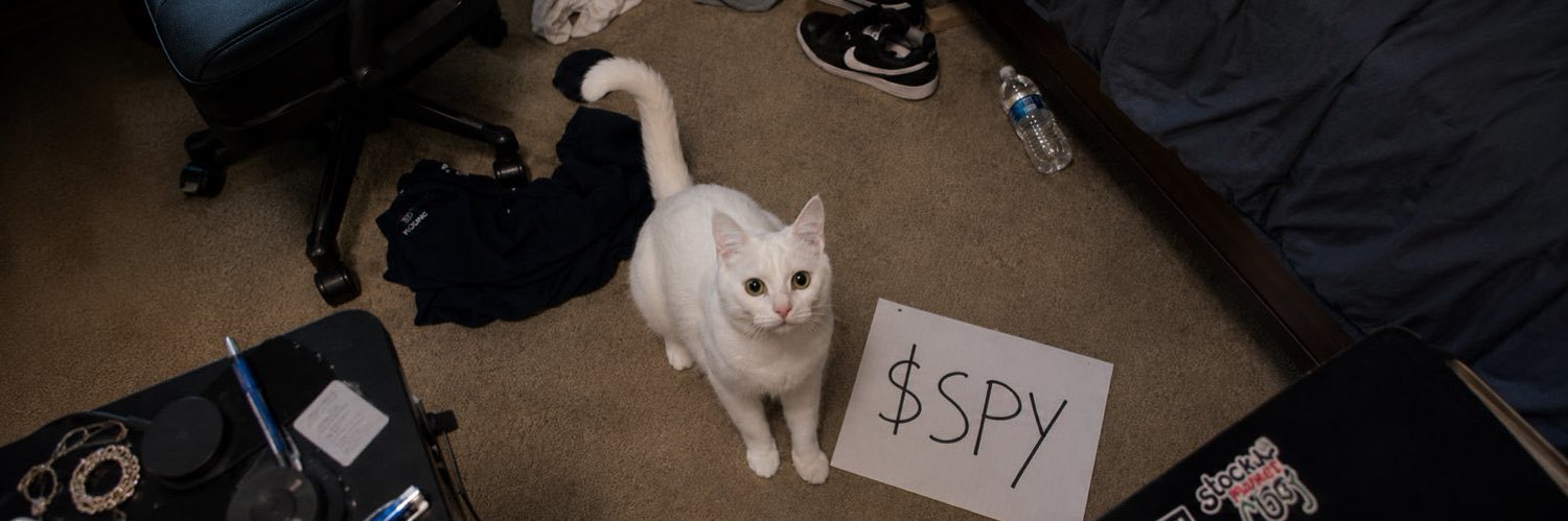 Options selling with Christian (PRIVATE)'s banner