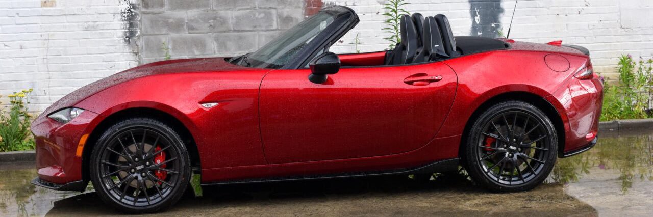 Miata Farrow 🦋🐝🌊 Vote blue! #SmokeFL33T's banner