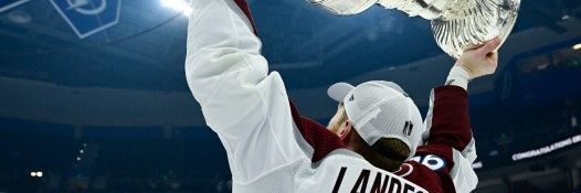 Avalanche Forever's banner