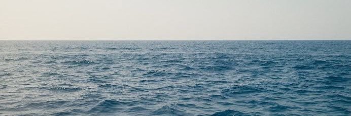 molly¹²'s banner