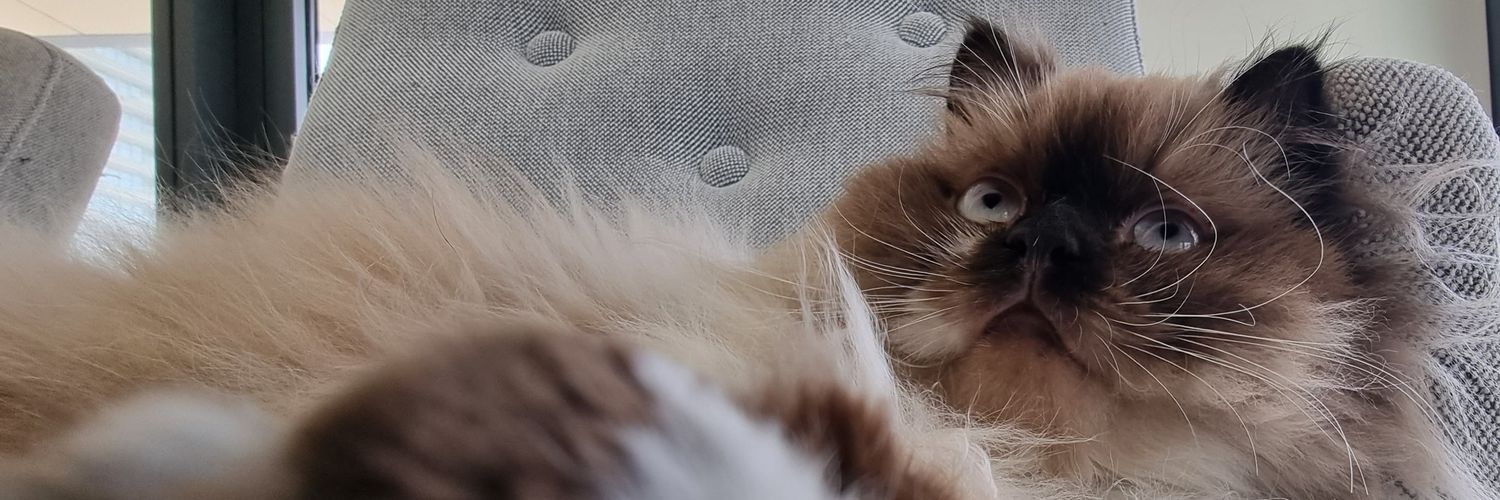 The Chonky God's banner