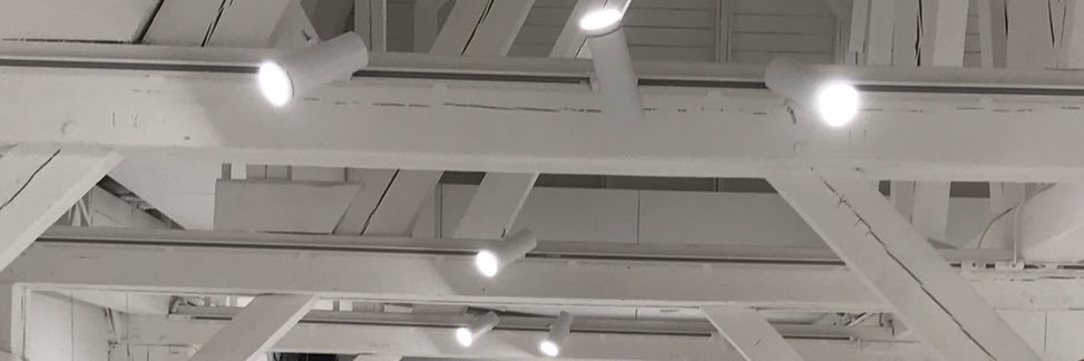 Evita Puriņa's banner