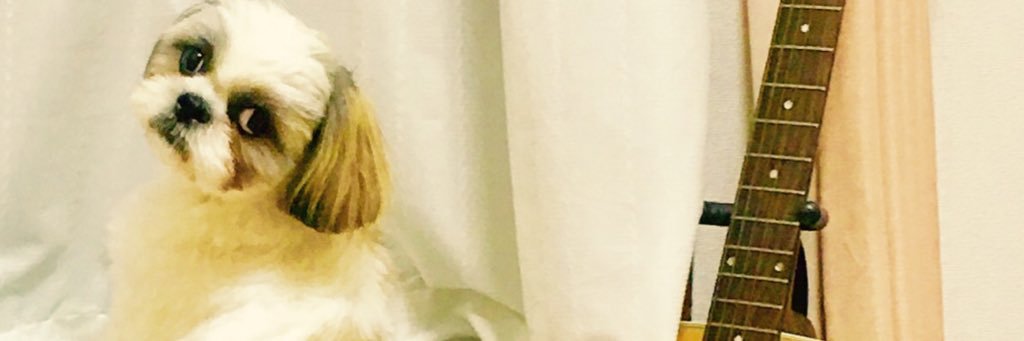 しとろん.:＊・゜'s banner