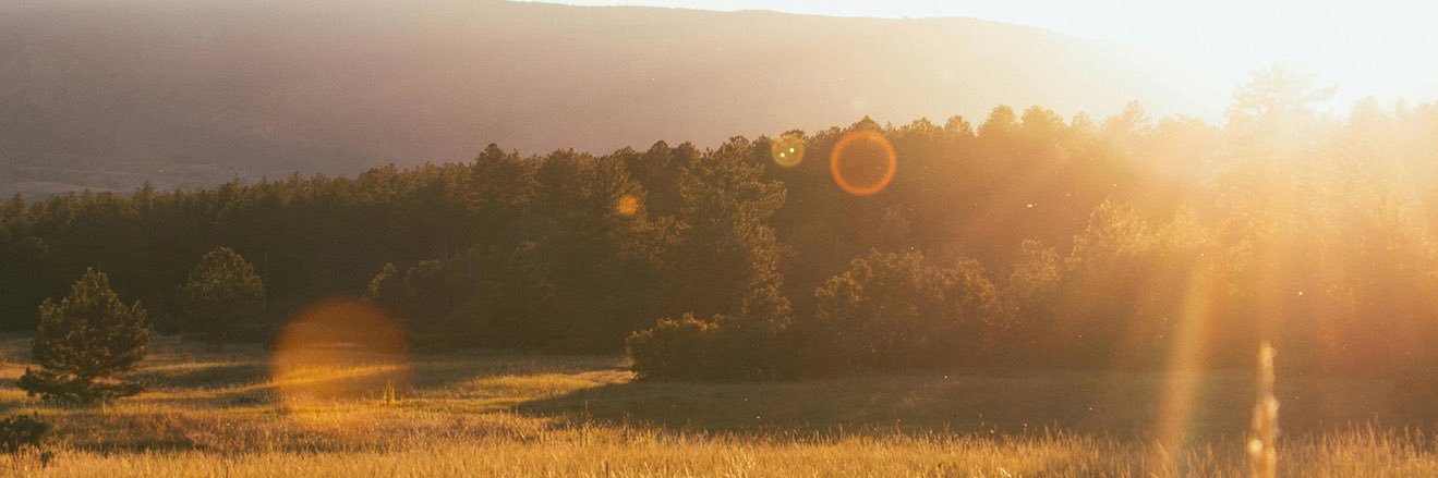 Pai 🌲's banner