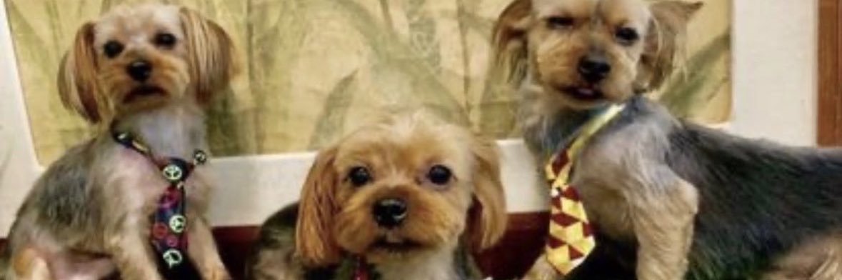 keysha197208's banner