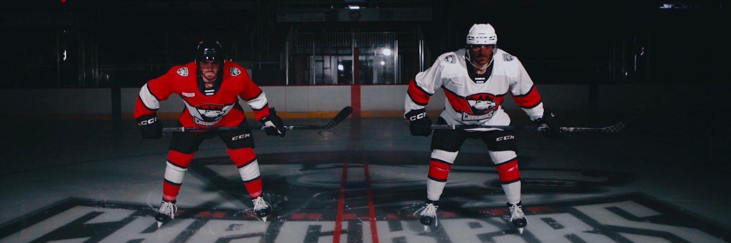 Charlotte Checkers's banner